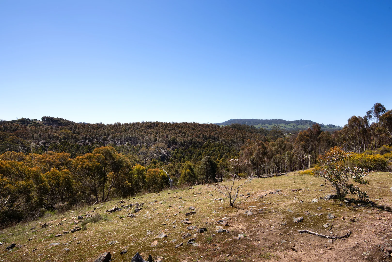 Additional image 12 of 1/128 Kennedys Lane, Faraday VIC 3451