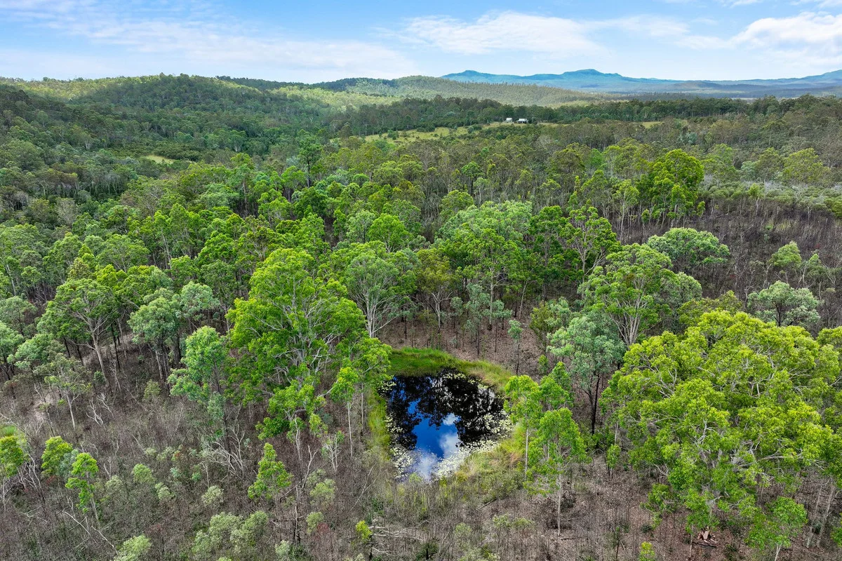 Additional image 32 of 242 Ewingar Ridge Road, Ewingar NSW 2469