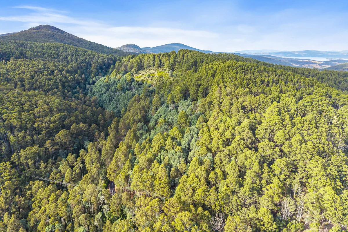 Additional image 10 of 3 Nicholls Rivulet Road, Nicholls Rivulet TAS 7112