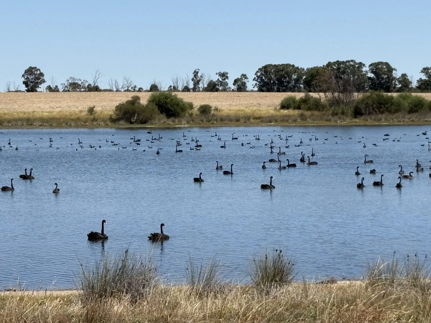 4779 Northwest Road, Dandaragan WA 6507