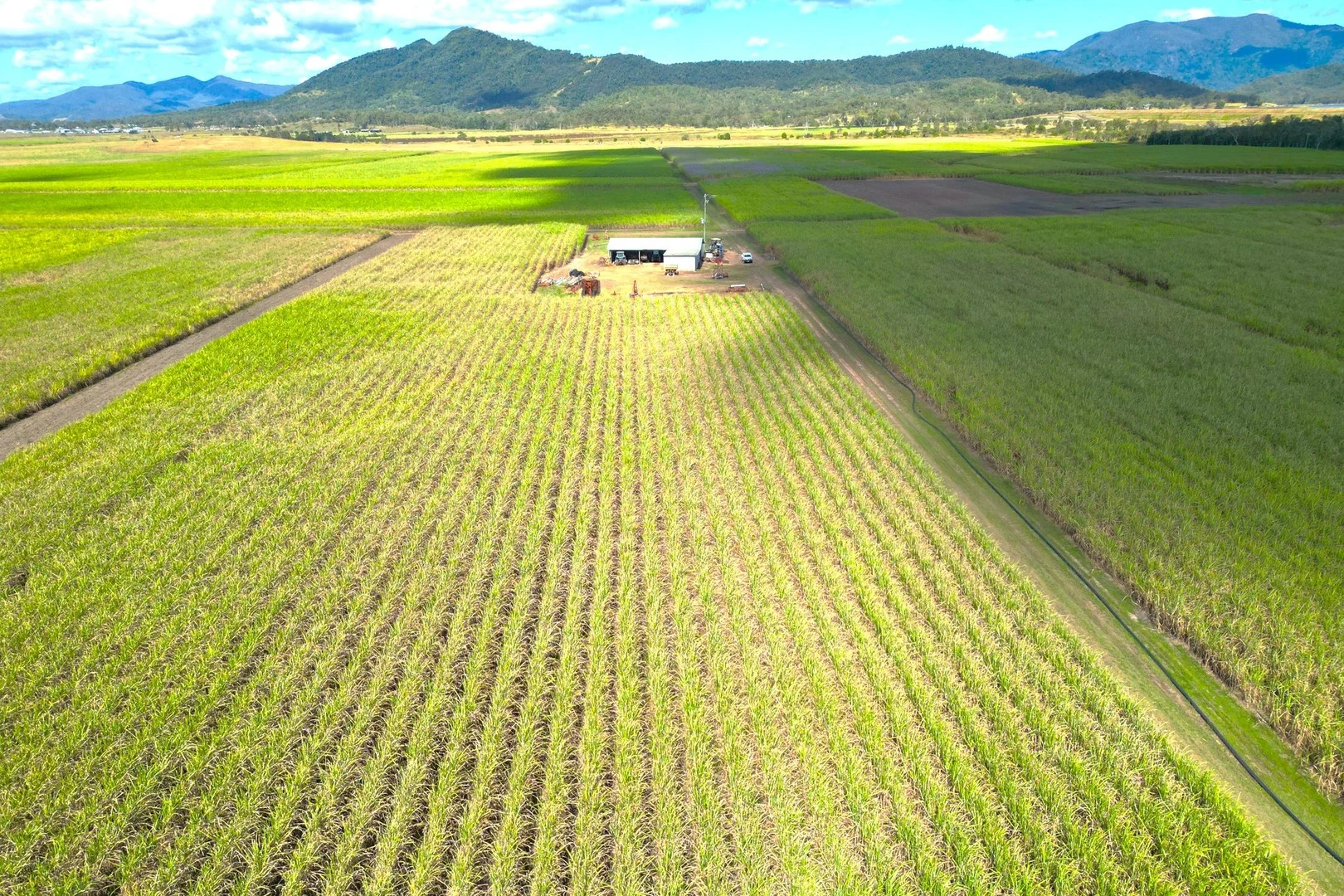 Marian QLD 4753