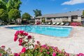 Additional image 21 of 125 Cedar Pointe Loop, San Ramon, CA, 94583