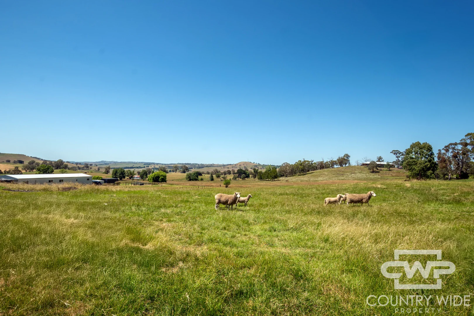 Additional image 25 of 8 Elm Street, Guyra NSW 2365