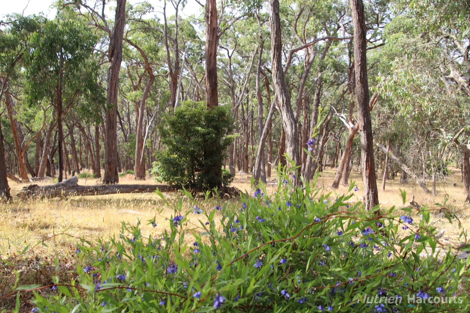Additional image 4 of Lot 2 Skirkas Road, Buninyong VIC 3357
