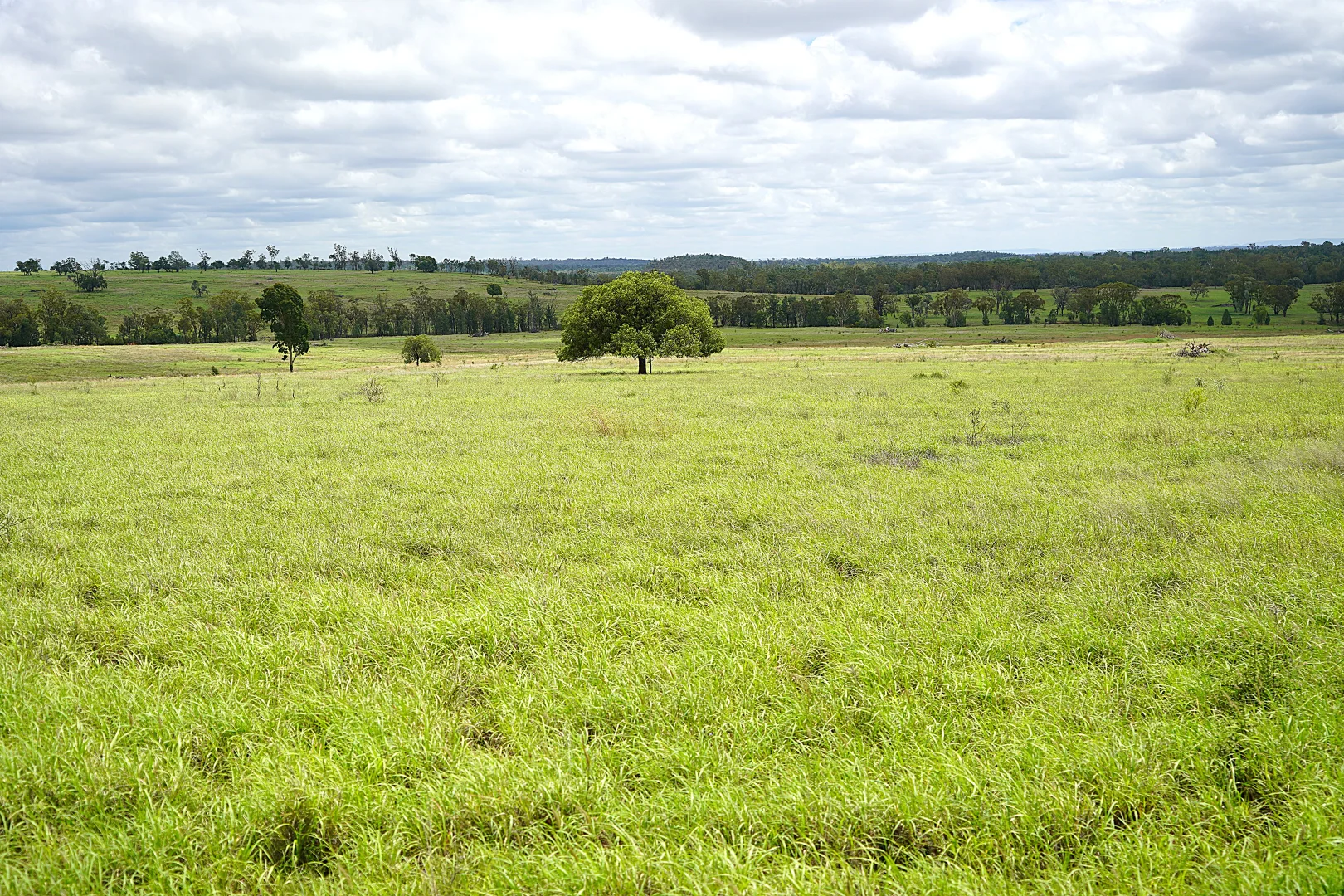 Additional image 12 of Billabong, Orallo Road, Roma QLD 4455