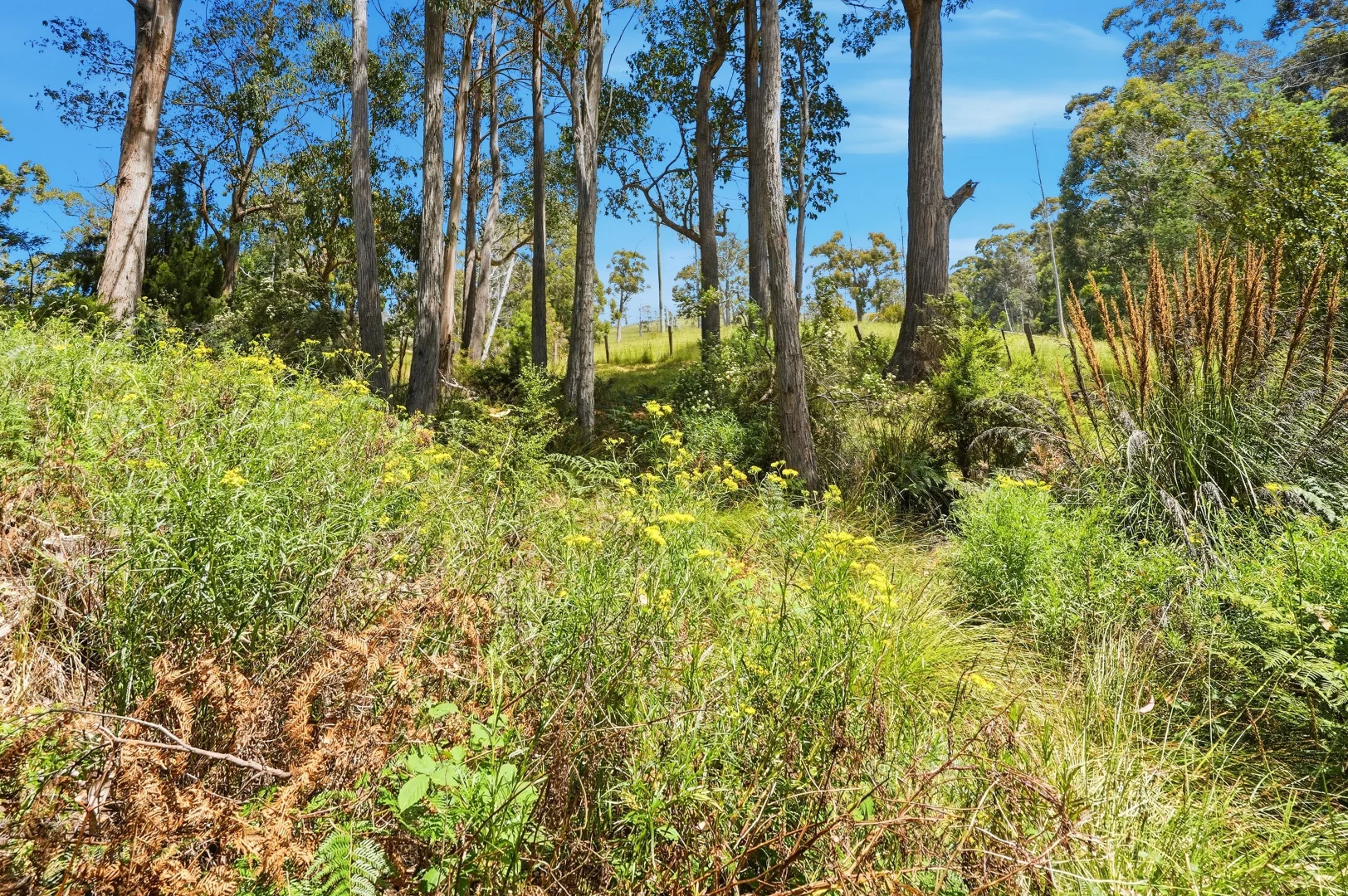 Additional image 4 of Lots 9 & 10 Esperance Coast Road, Dover TAS 7117