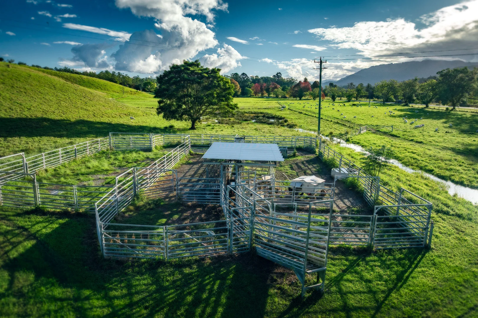 Additional image 35 of 2165 Waterfall Way, Thora NSW 2454