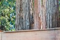 Additional image 84 of 93 Magnolia Ave, Larkspur, CA, 94939