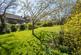Additional image 52 of Glenleigh Walk, Robertsbridge, TN32