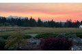 Additional image 39 of 2270 S 7th Ave, Sequim, WA, 98382