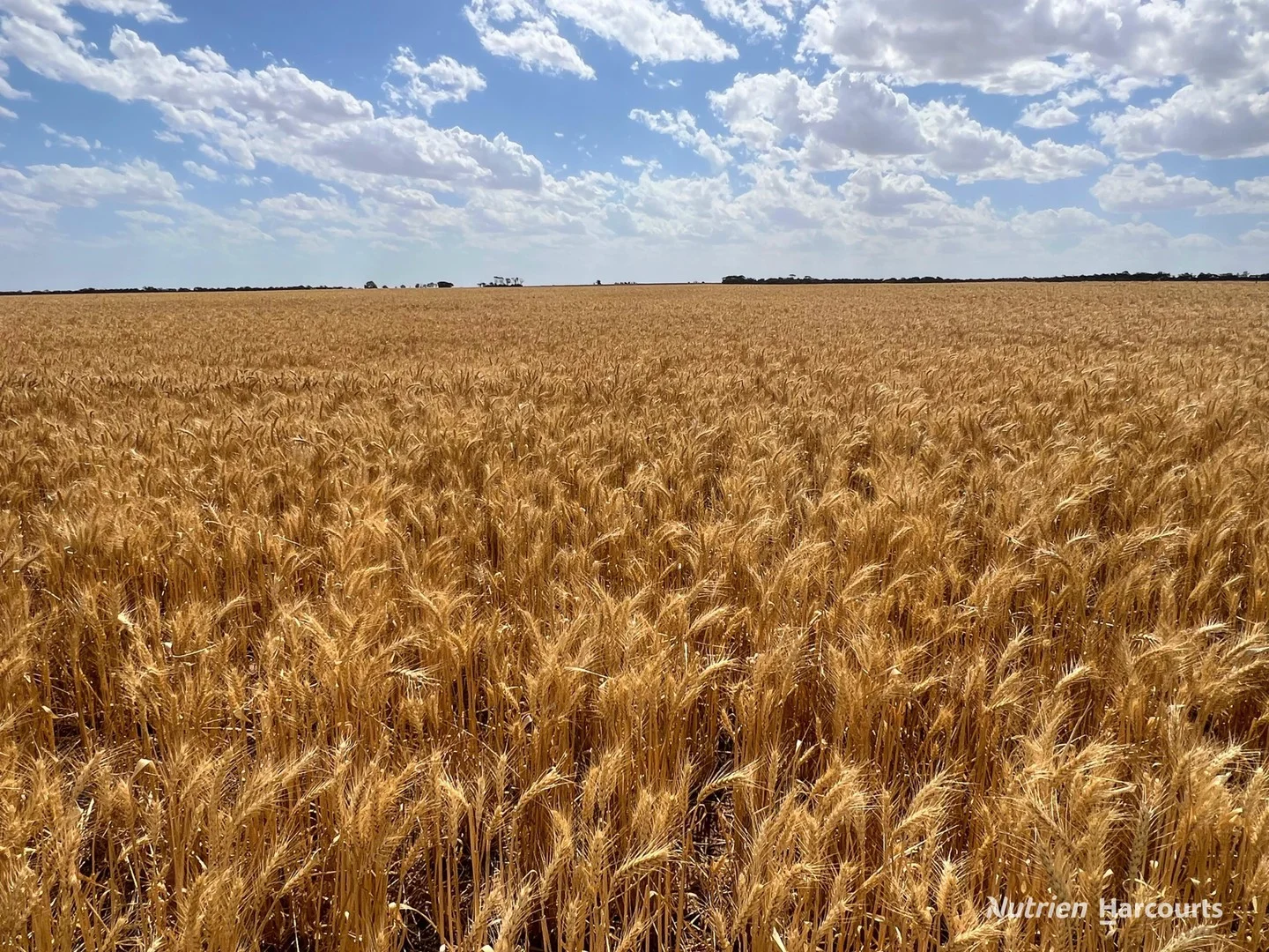 Lot 504 Dowerin-Koorda Road, Booralaming WA 6475