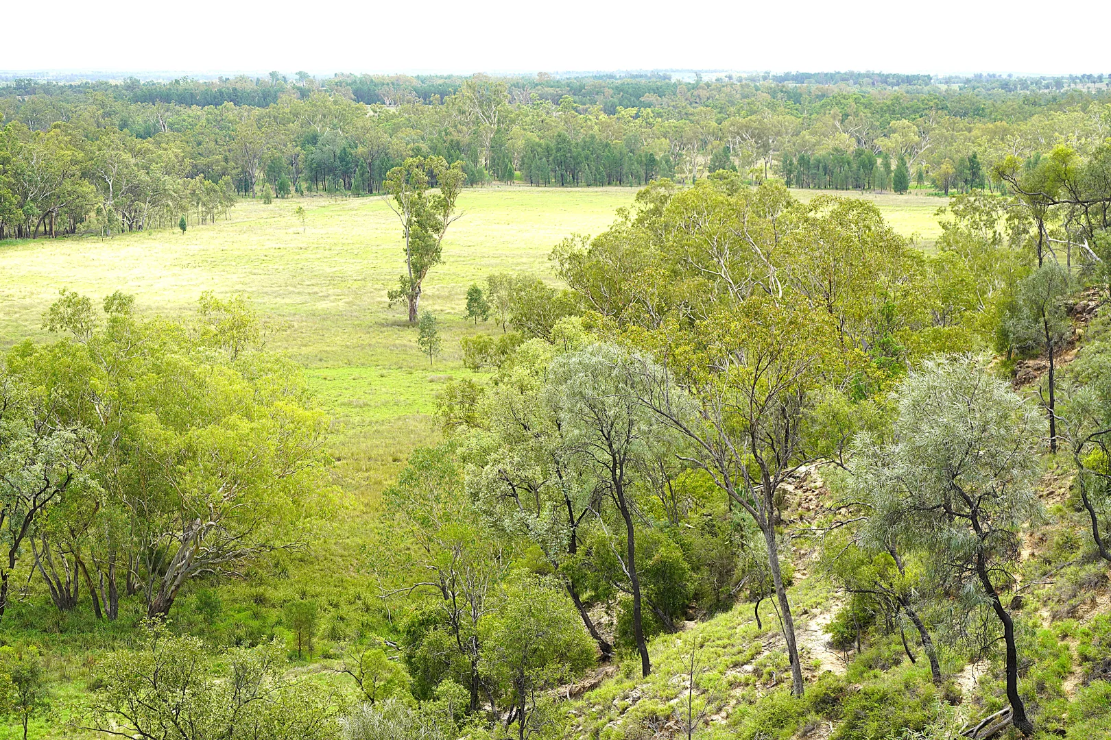 Additional image 16 of Billabong, Orallo Road, Roma QLD 4455