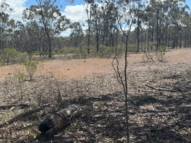 Additional image 8 of Lot 30 Wheelhouse Road, Wehla VIC 3518