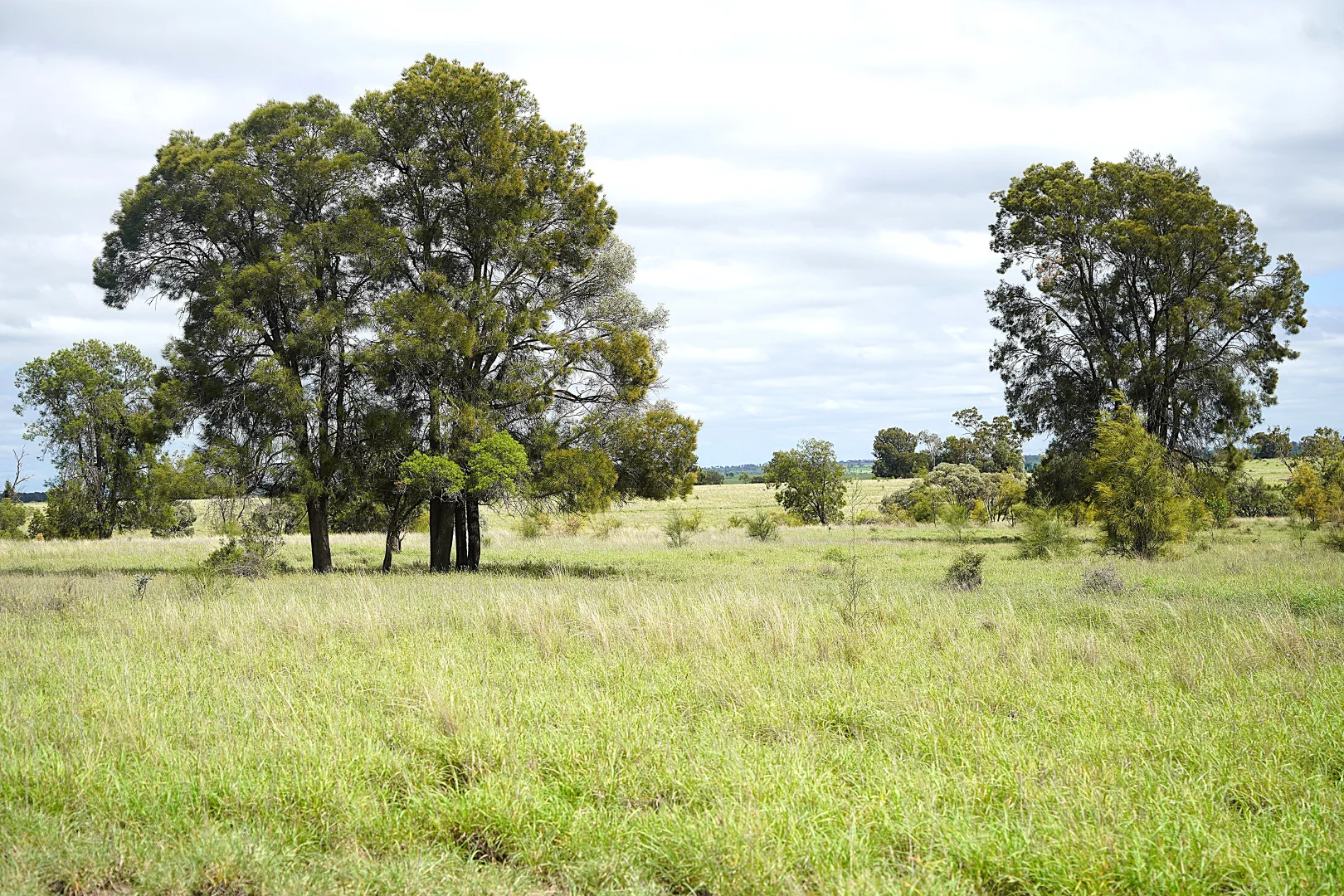 Additional image 3 of Billabong, Orallo Road, Roma QLD 4455