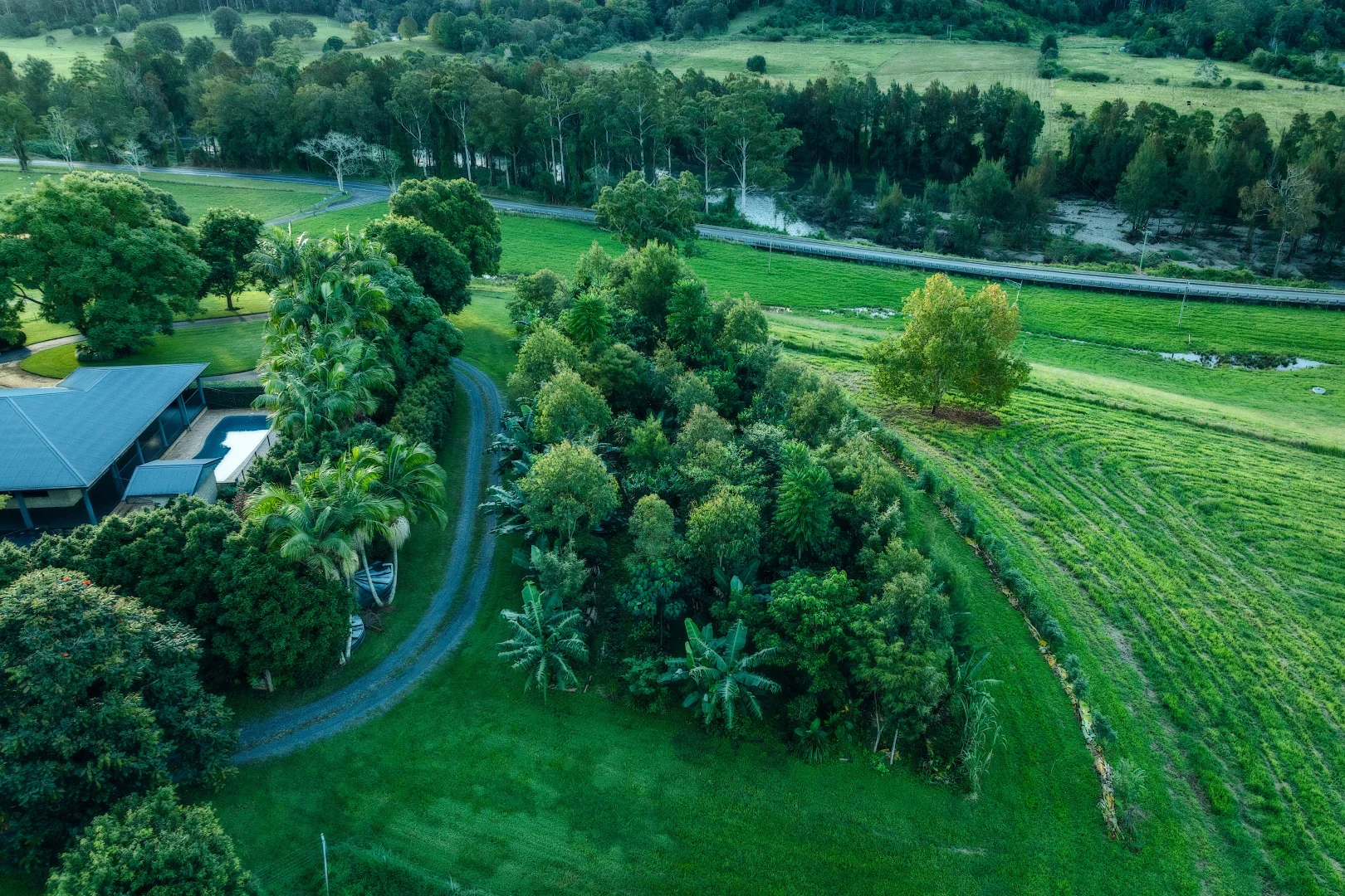Additional image 30 of 2165 Waterfall Way, Thora NSW 2454