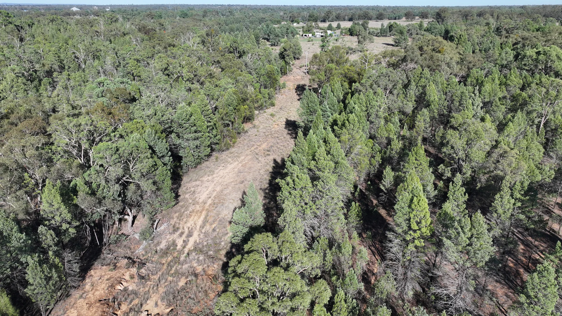 Additional image 7 of 114 Indian Lane, Baradine NSW 2396