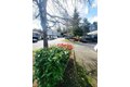 Additional image 17 of 2700 S Meridian, Puyallup, WA, 98373