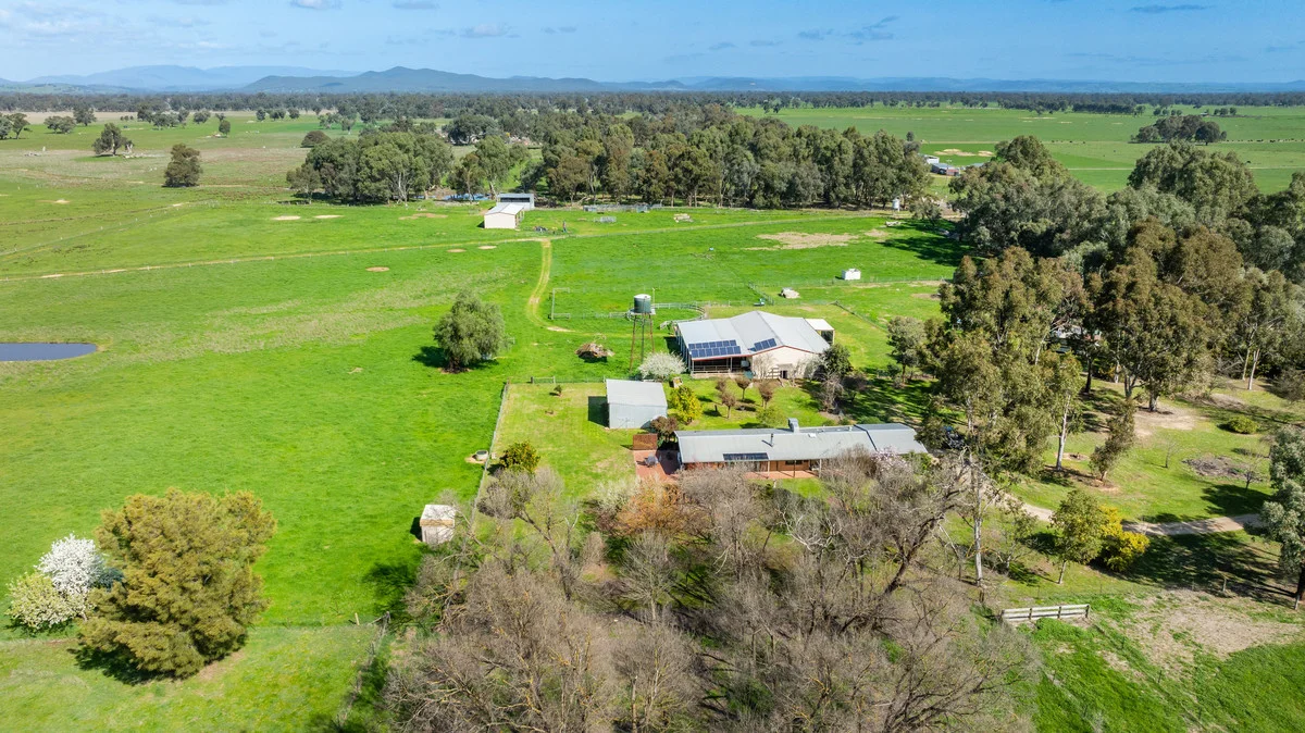 61 Forest Lane, Markwood VIC 3678 photo 5