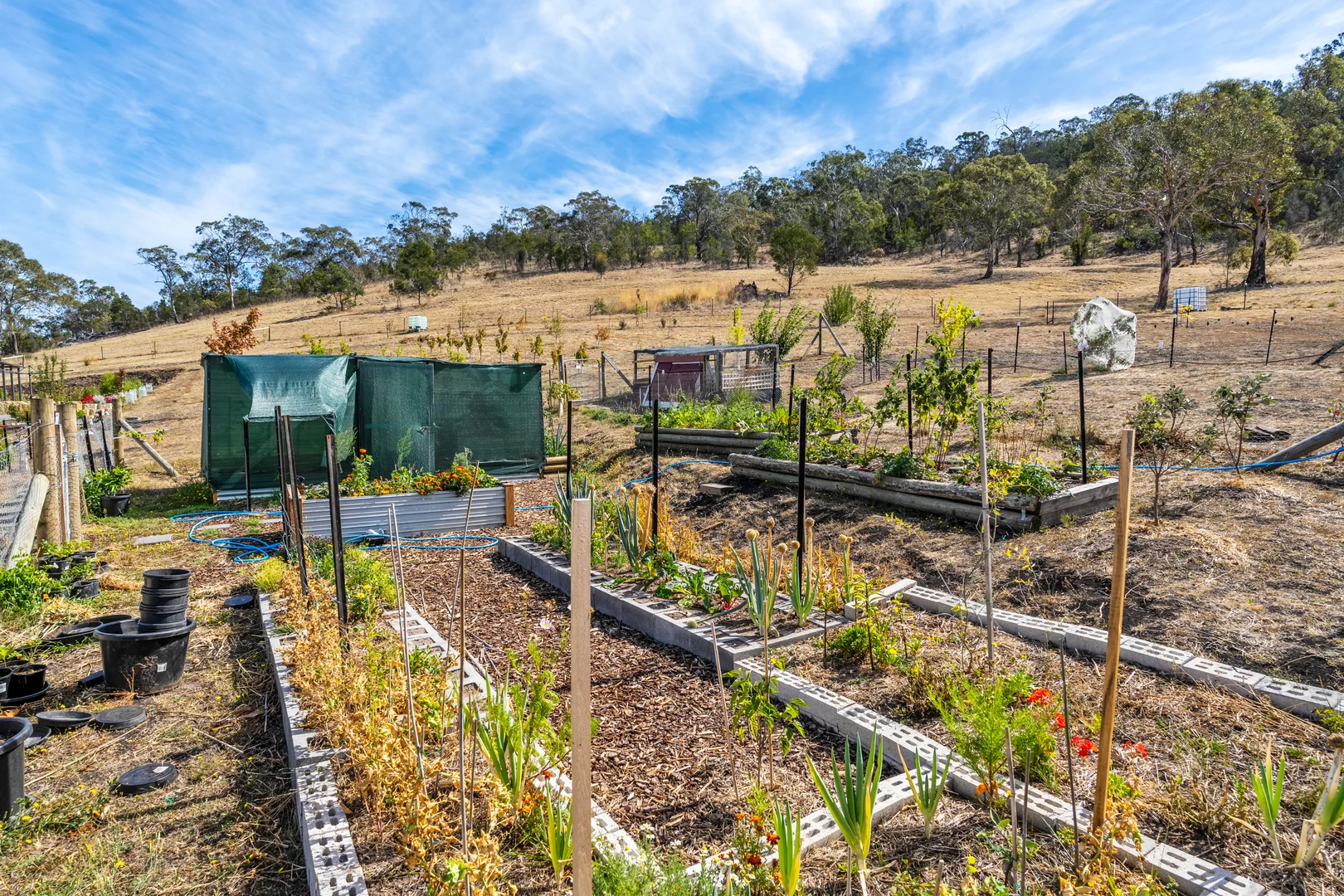 Additional image 26 of 180 Middle Tea Tree Road, Richmond TAS 7025