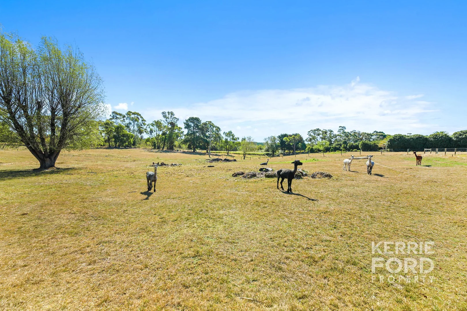 Additional image 3 of 20 Scrubby Lane, Traralgon VIC 3844