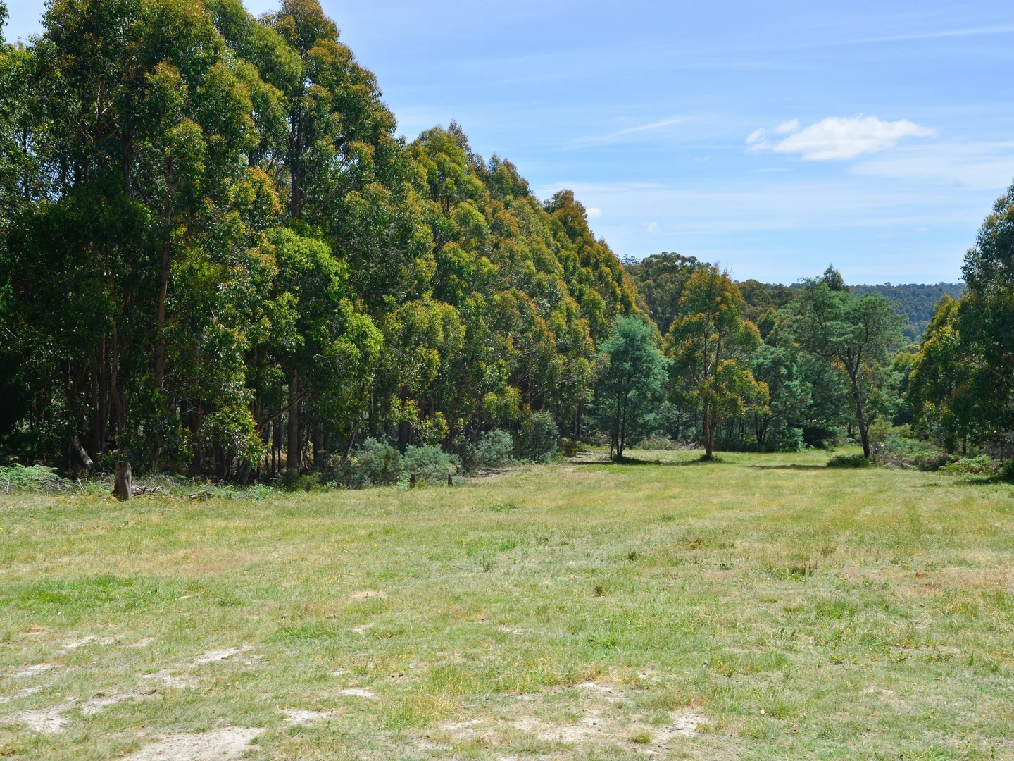 Additional image 8 of 79 Marriotts Road, Ellendale TAS 7140