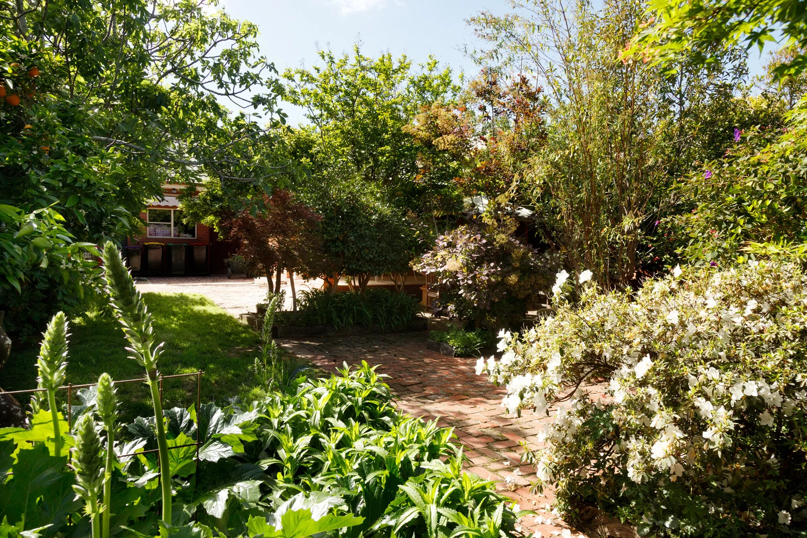 Additional image 22 of 16 Wyndham Street, Shepparton VIC 3630