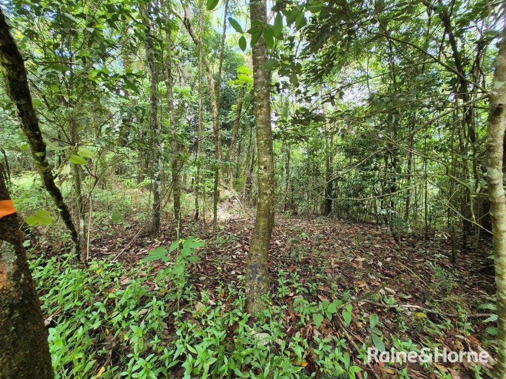Additional image 6 of Lot 18 George Road, Forest Creek QLD 4873