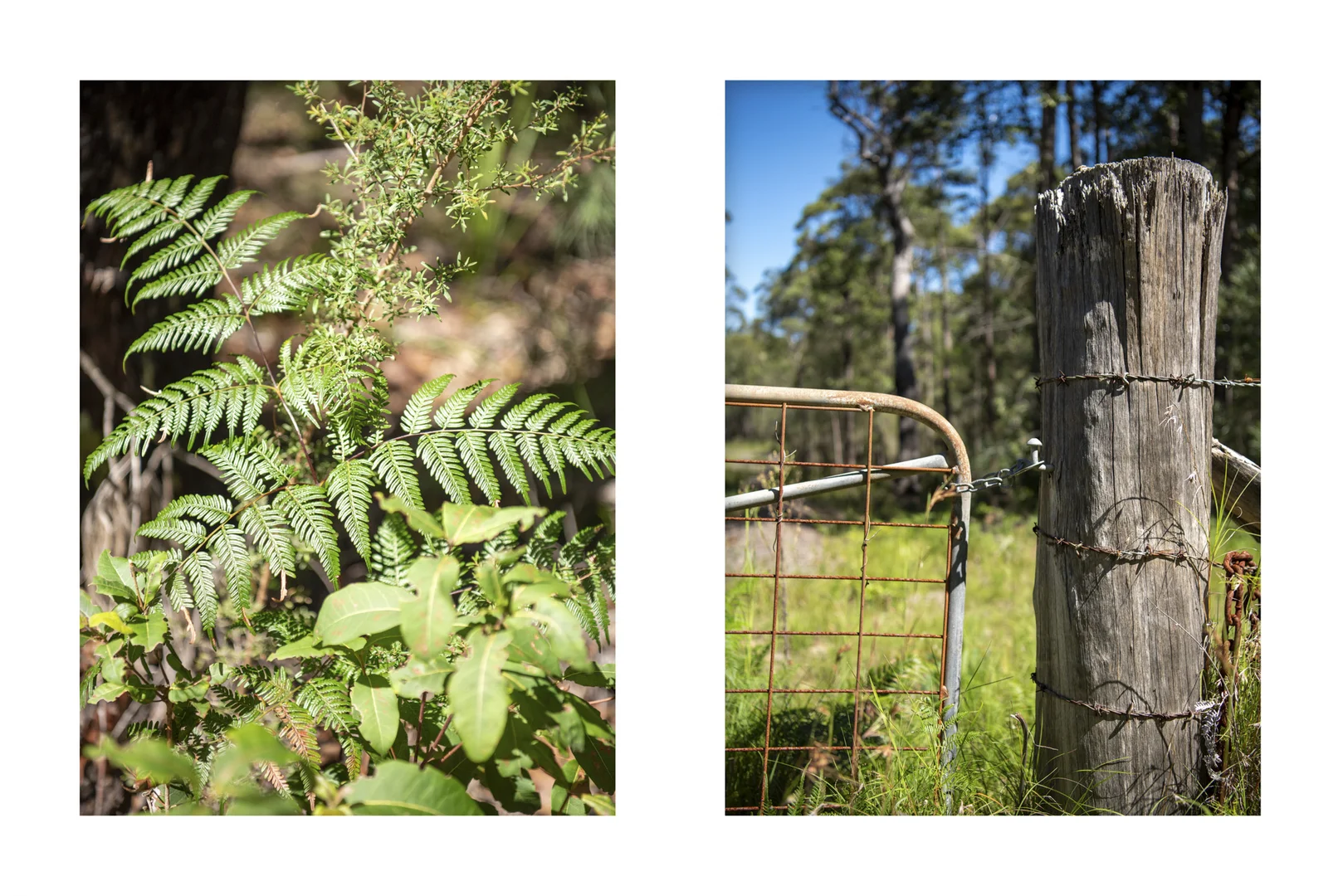 Additional image 10 of Lot 2 Parnell Road, Tomerong NSW 2540