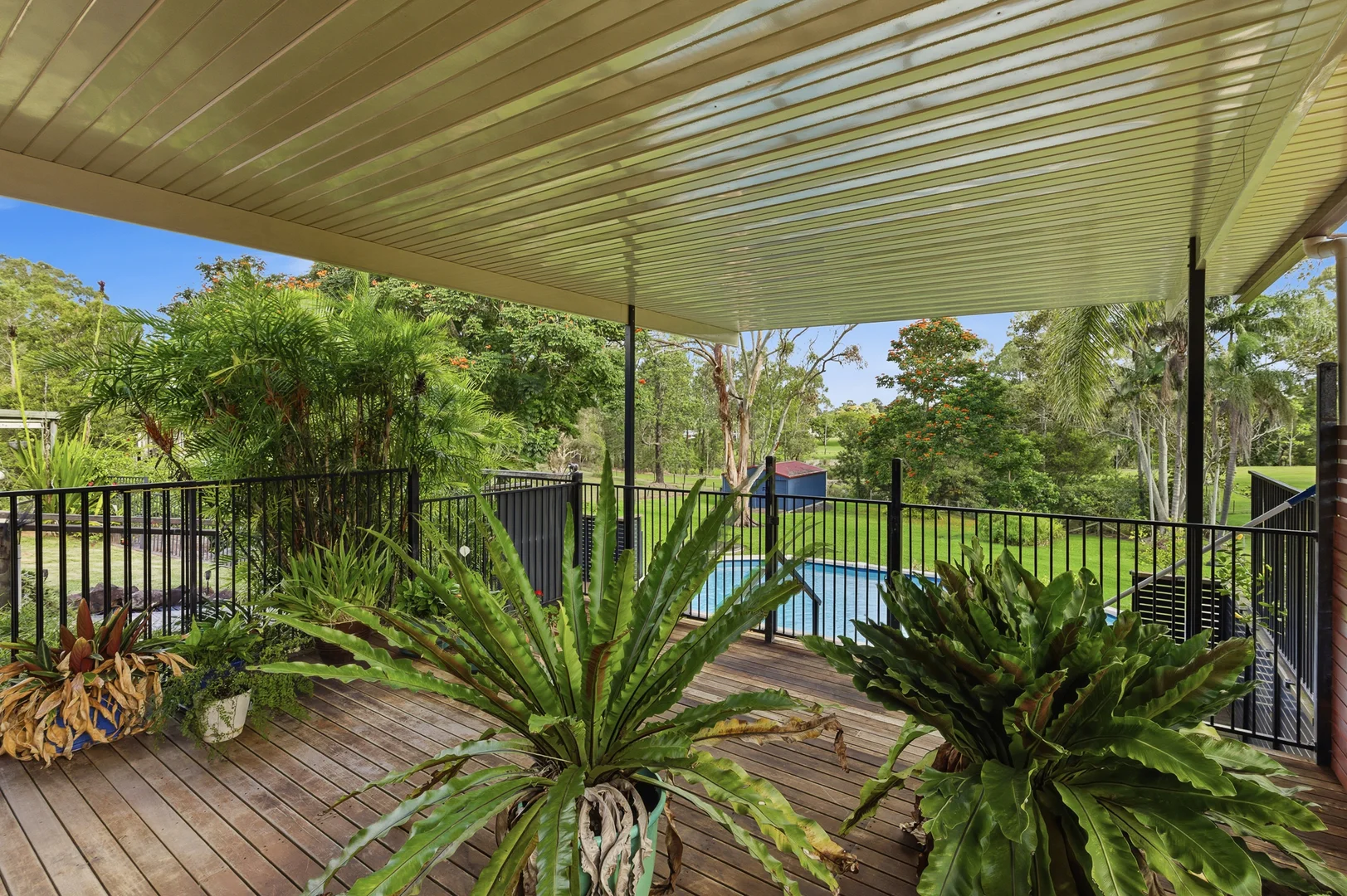 Additional image 15 of 75 Alexandra Parade, Wamuran QLD 4512