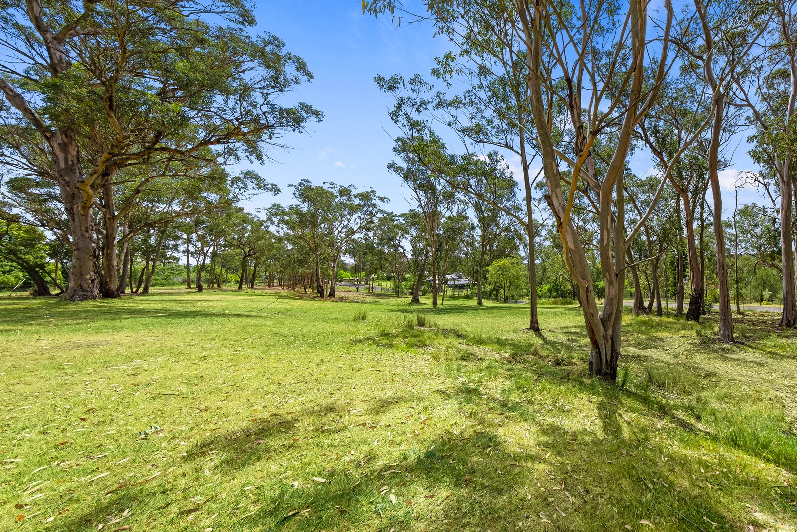 Additional image 14 of 339 Maguires Road, Maraylya NSW 2765