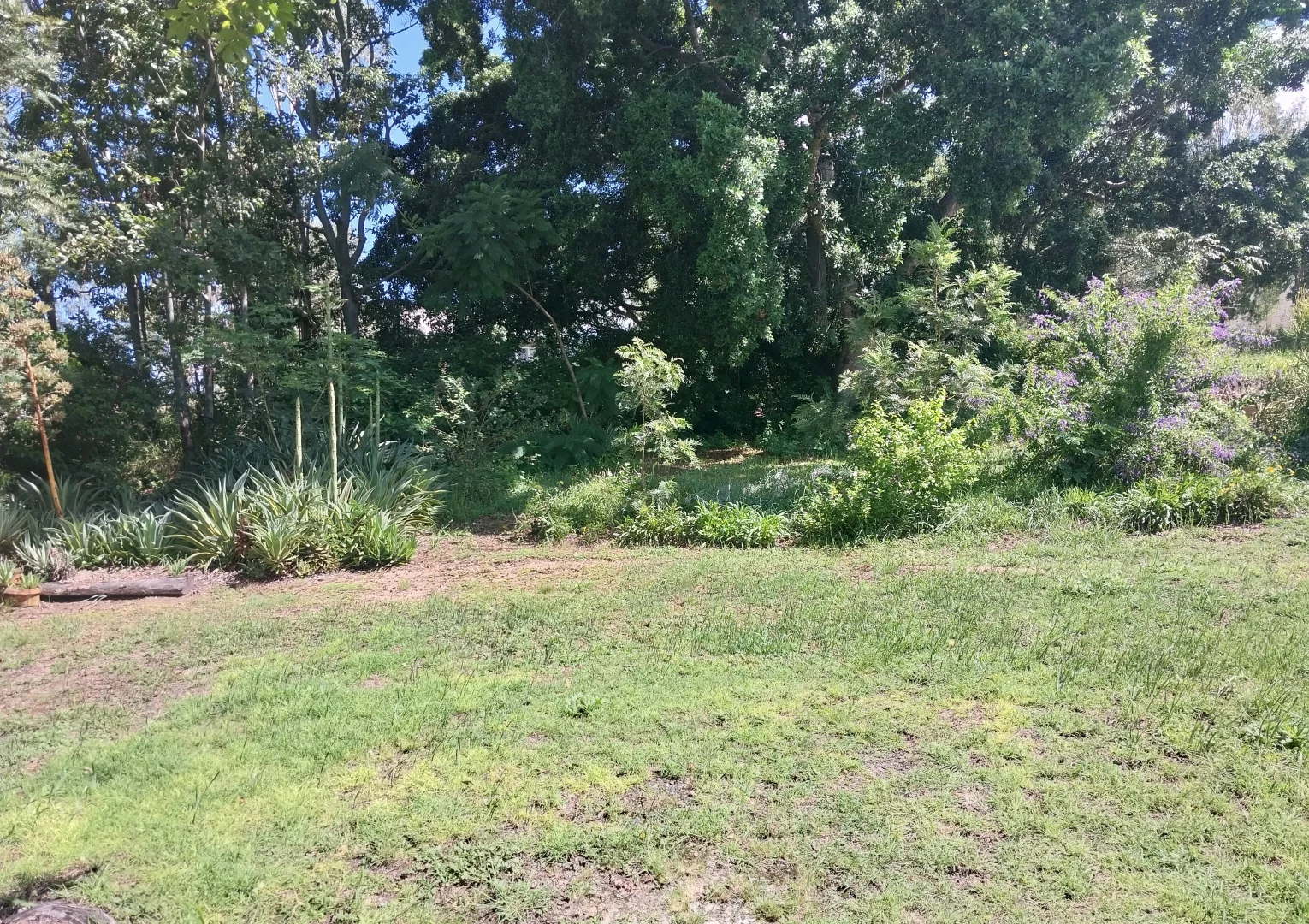 Additional image 37 of 11 George Street, Mount Perry QLD 4671