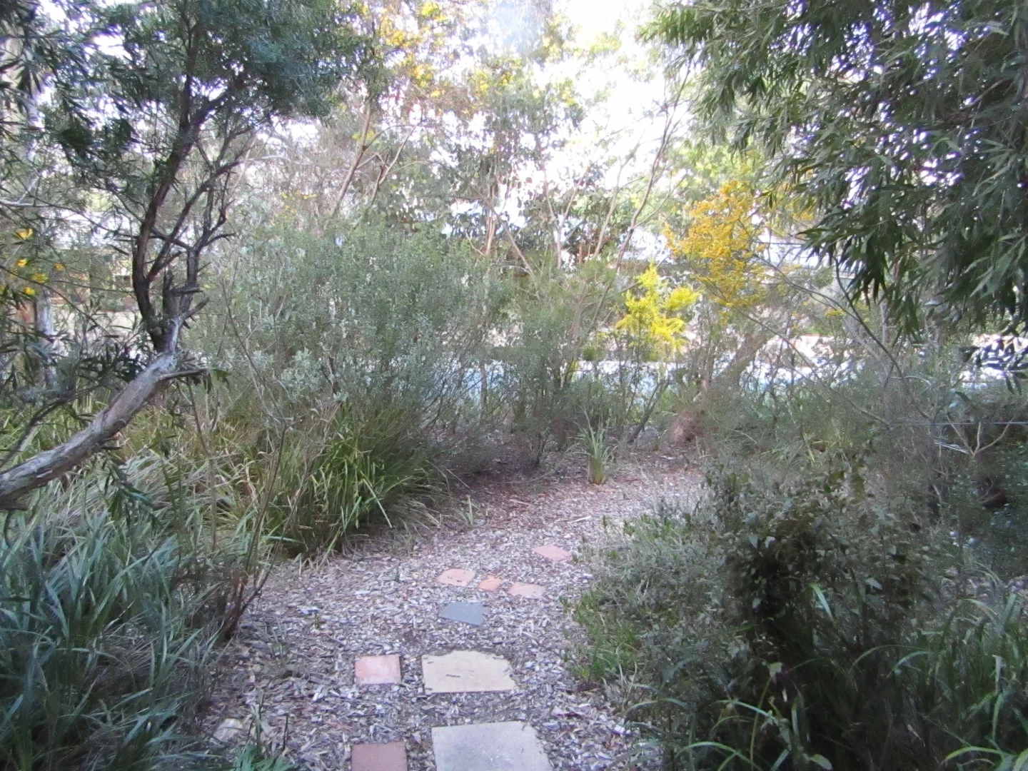 Additional image 19 of Calwell ACT 2905