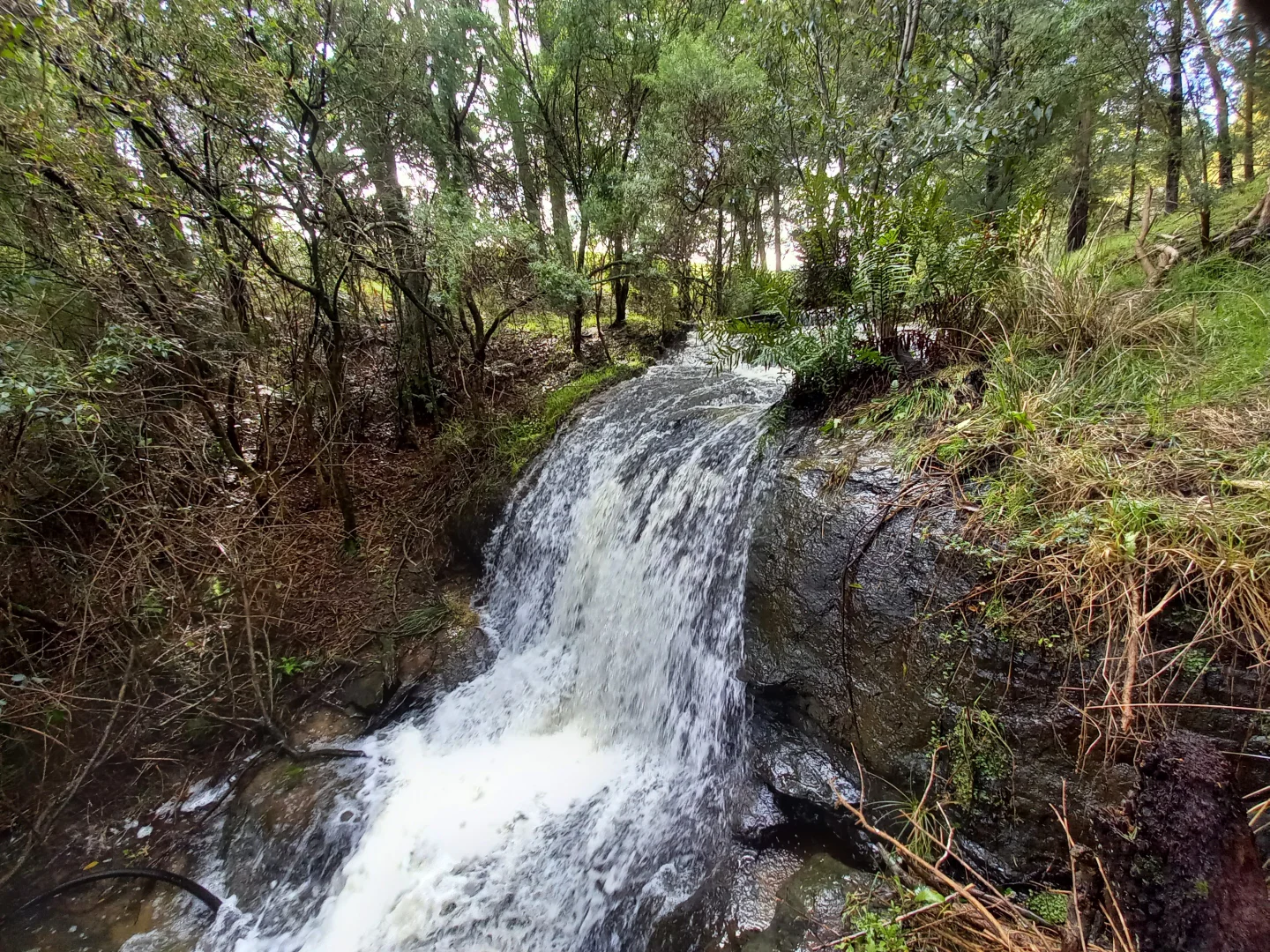 Additional image 30 of 236 Ferndale Road, Ferndale VIC 3821