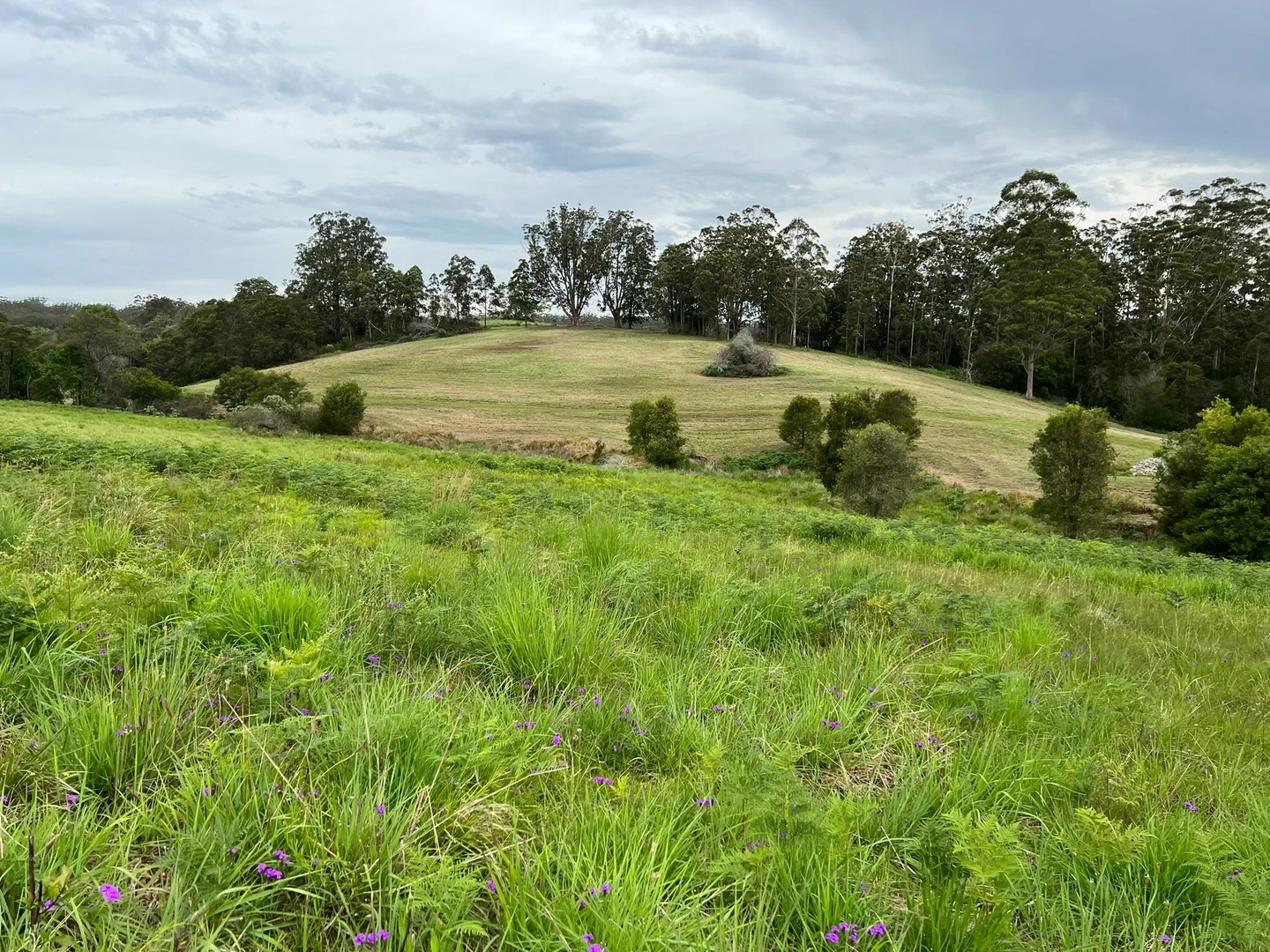 Additional image 4 of 45 Moores Lane, Eungai Creek NSW 2441
