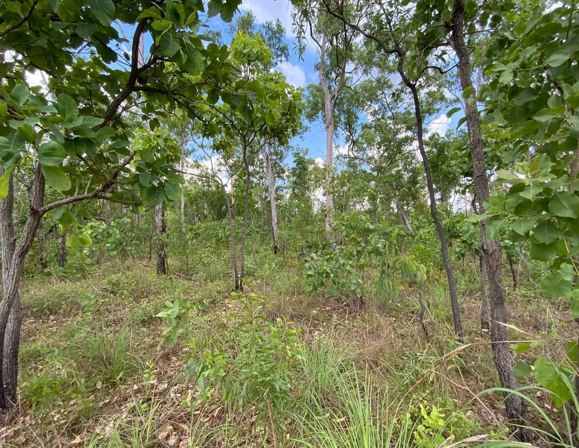 Additional image 8 of 155 Produce Road, Humpty Doo NT 0836