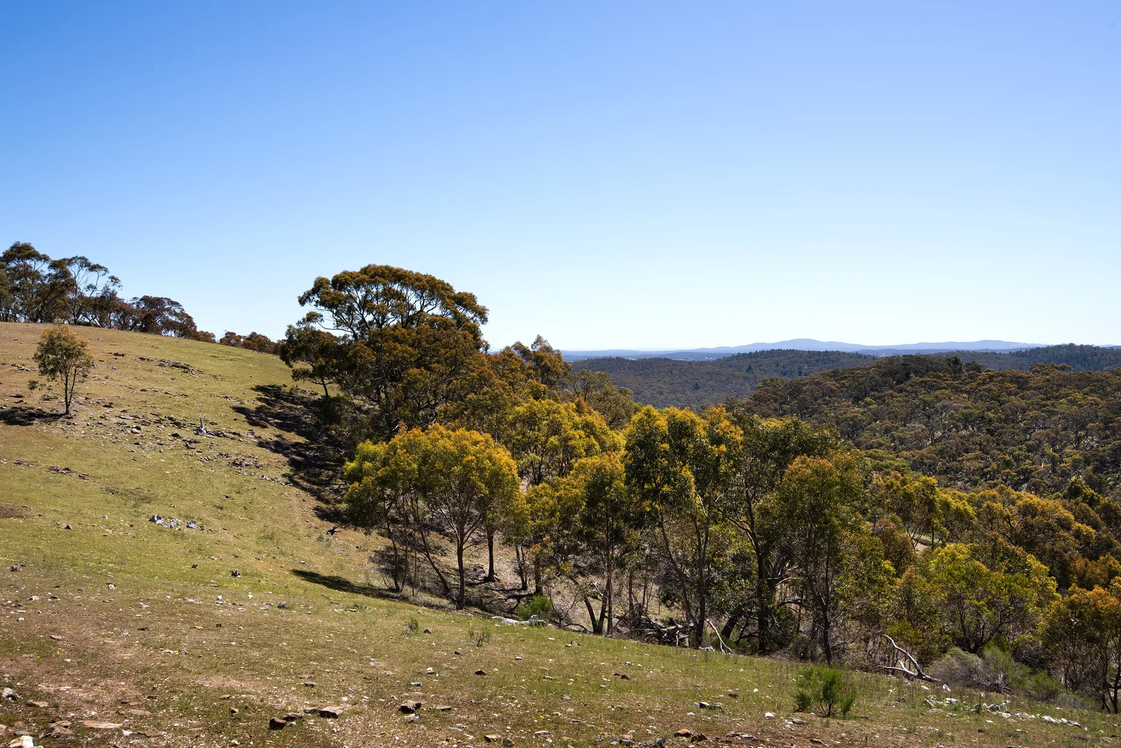 Additional image 10 of 1/128 Kennedys Lane, Faraday VIC 3451
