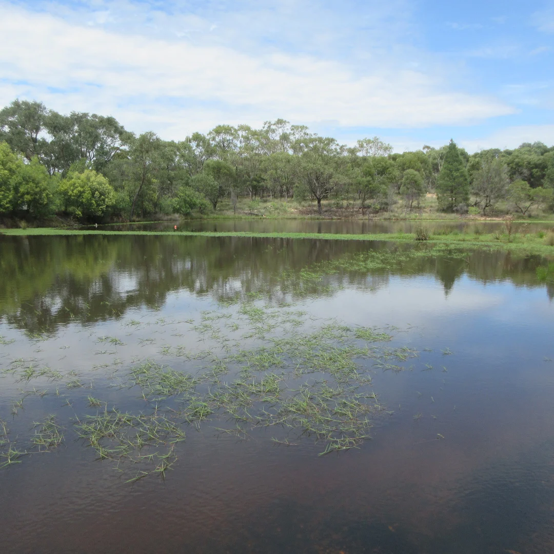 Additional image 4 of Tara QLD 4421