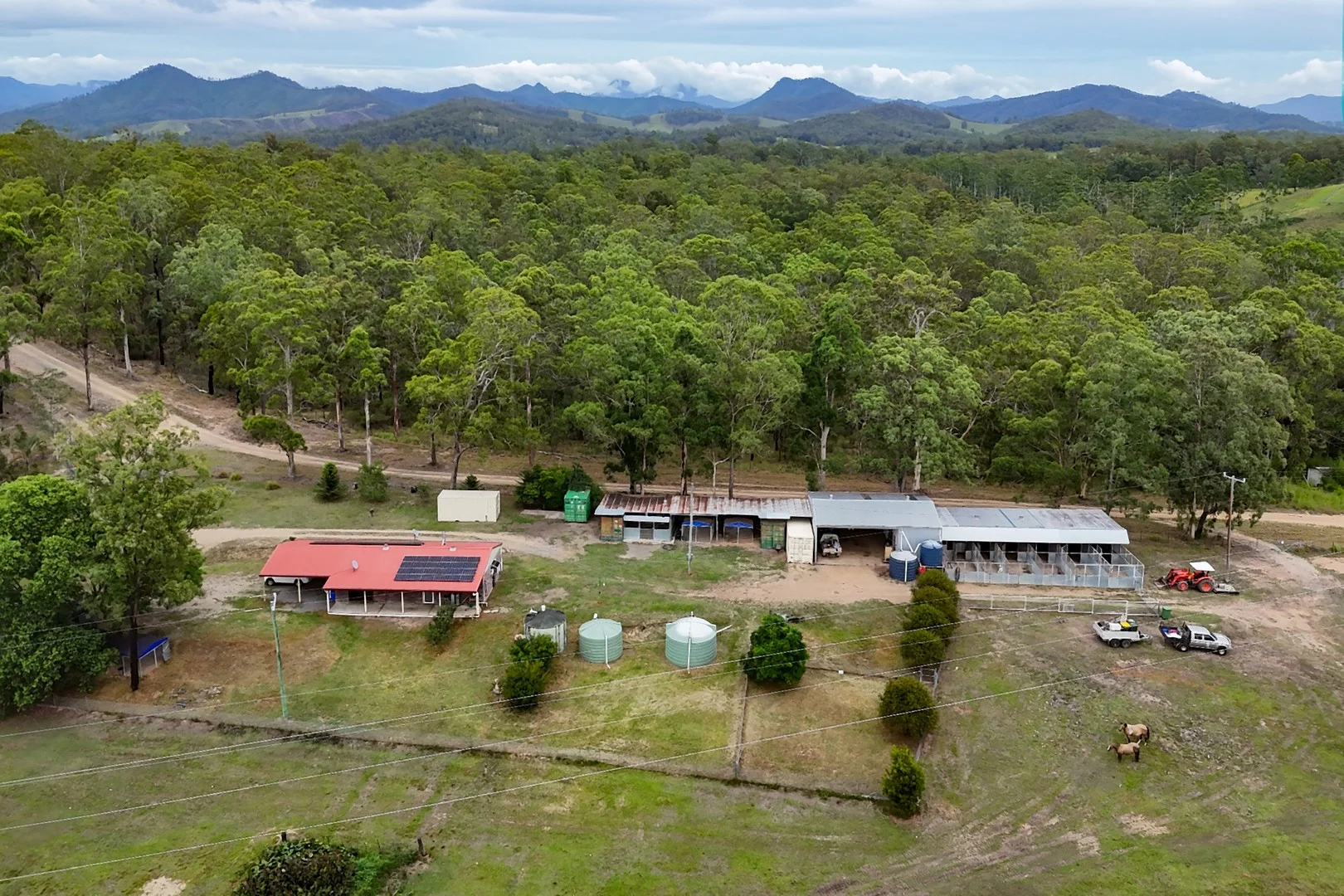12 Wilsons Lane, Hickeys Creek NSW 2440