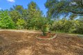 Additional image 57 of 4612 S Point Rd, Diamond Springs, CA, 95619