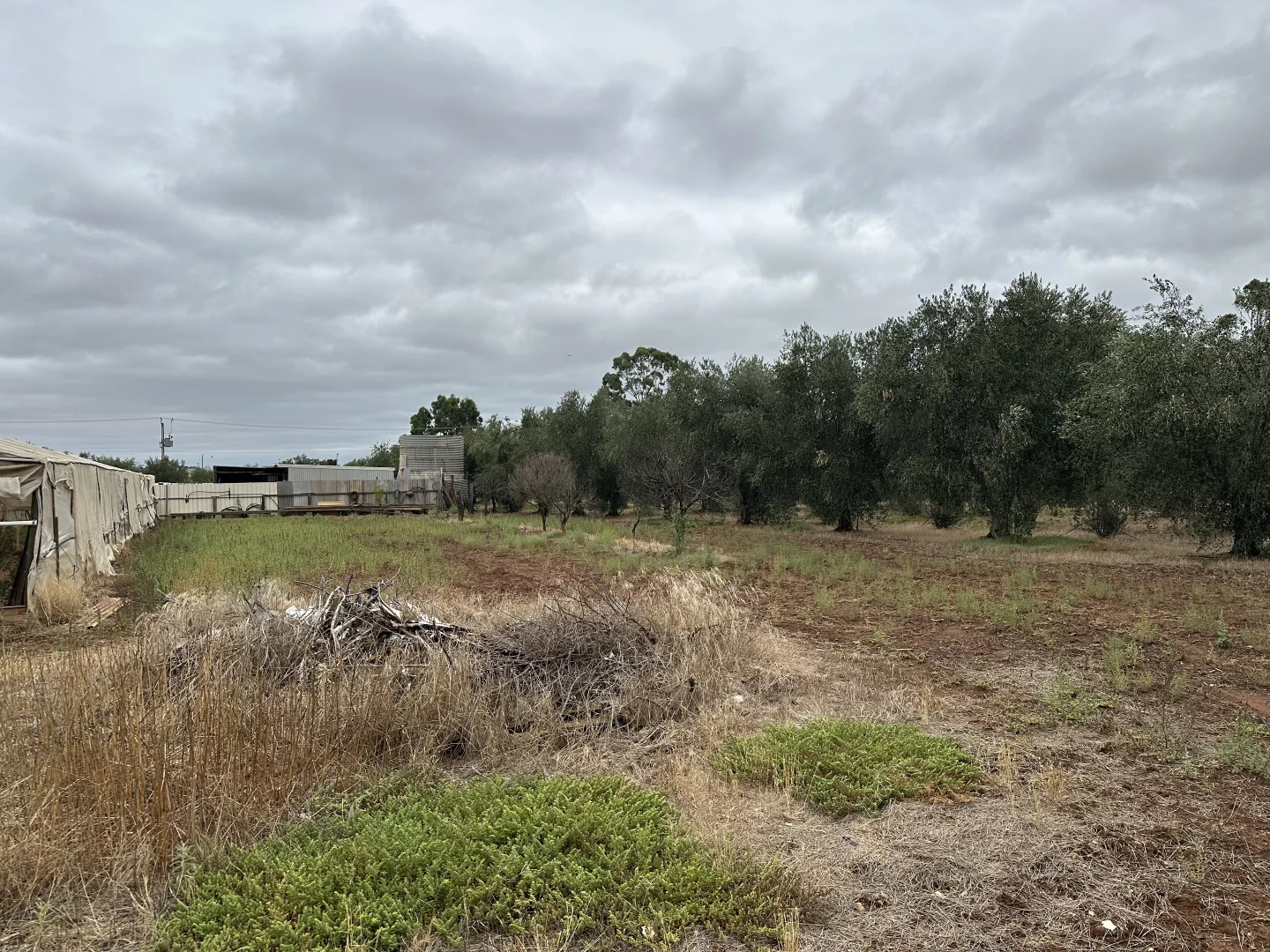 Additional image 8 of Lot 24 Wyatt Road, Direk SA 5110