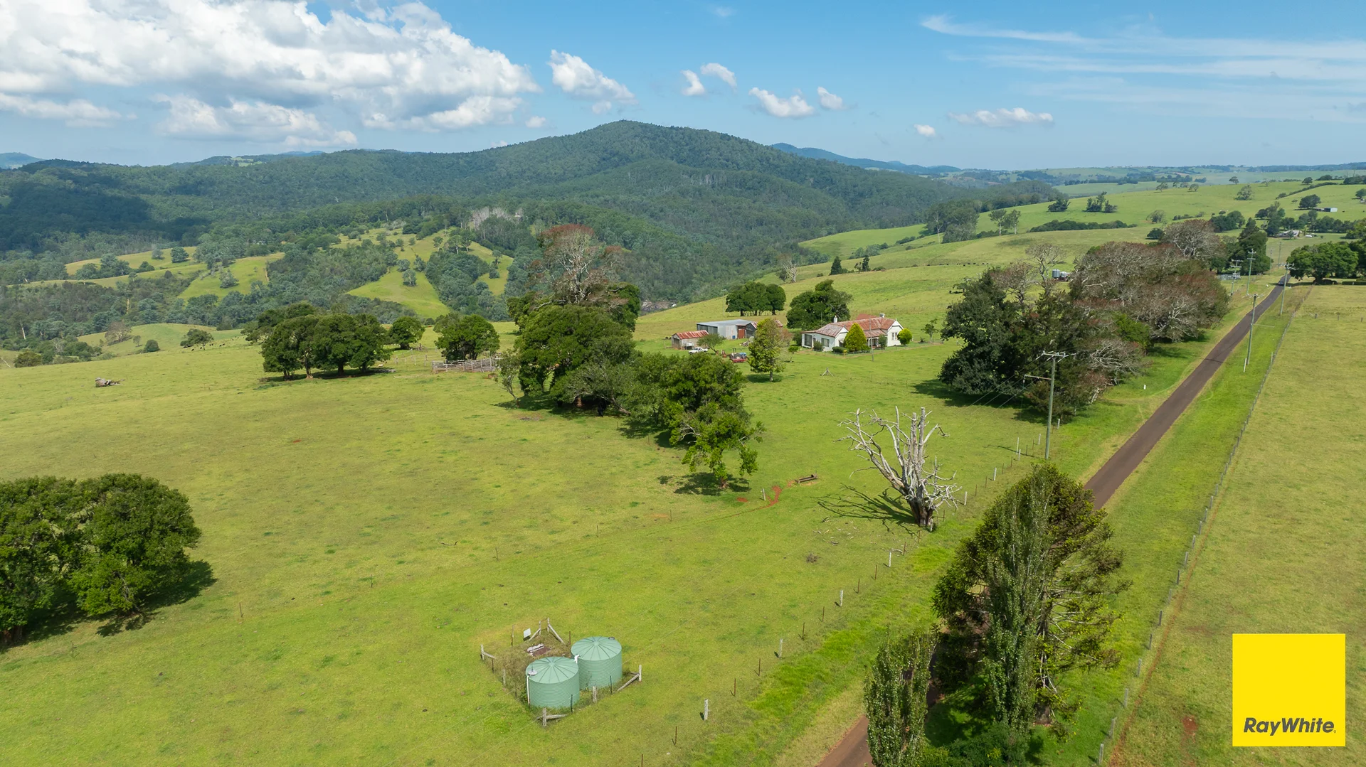 Additional image 30 of 262 Snows Road, Dorrigo NSW 2453