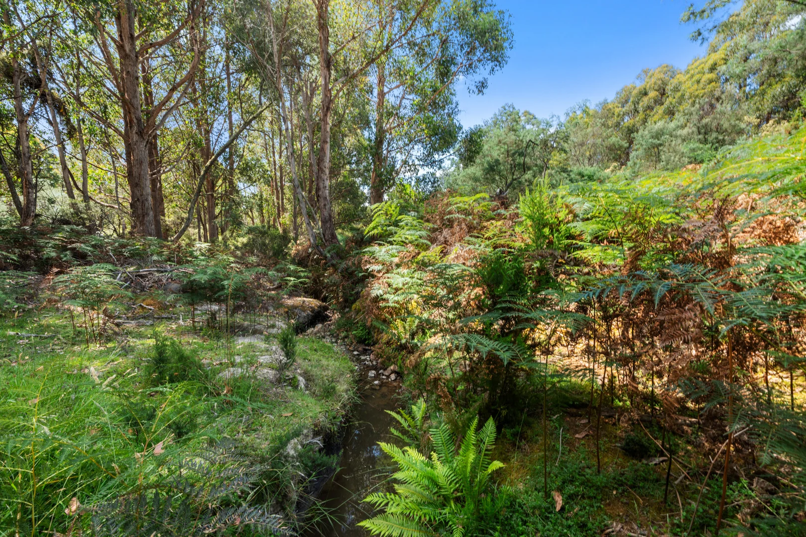 Additional image 4 of 79 Marriotts Road, Ellendale TAS 7140