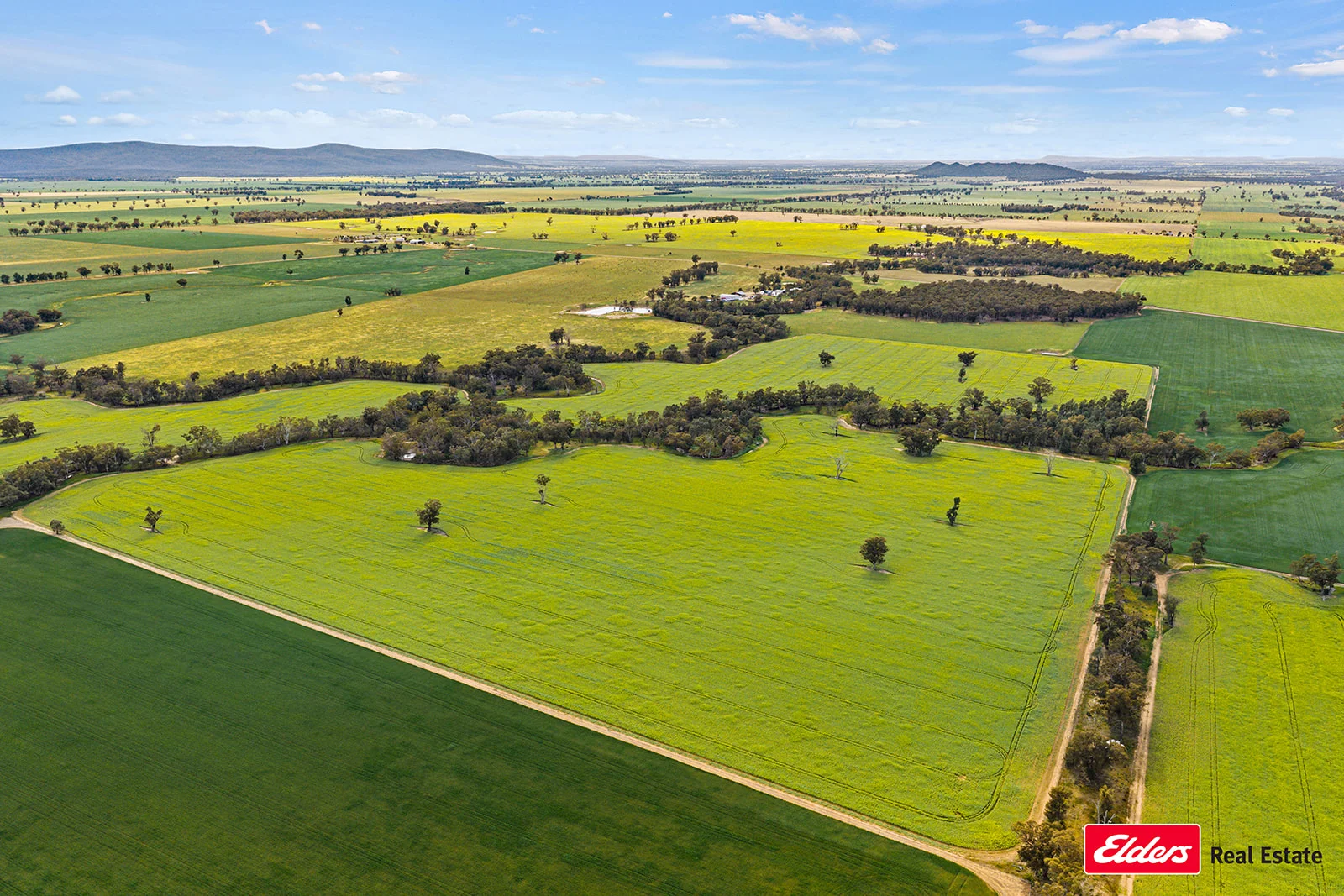 Additional image 6 of 223 Morans Road, Bribbaree NSW 2594