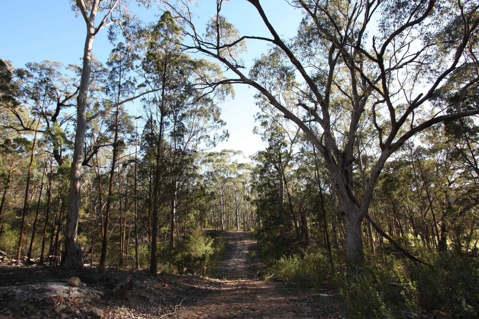 Additional image 5 of 429 & 503 Upper Nile Road, Rylstone NSW 2849