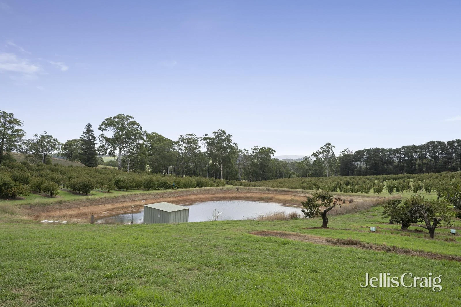 Additional image 18 of 56 Monbulk-Seville Road, Seville VIC 3139