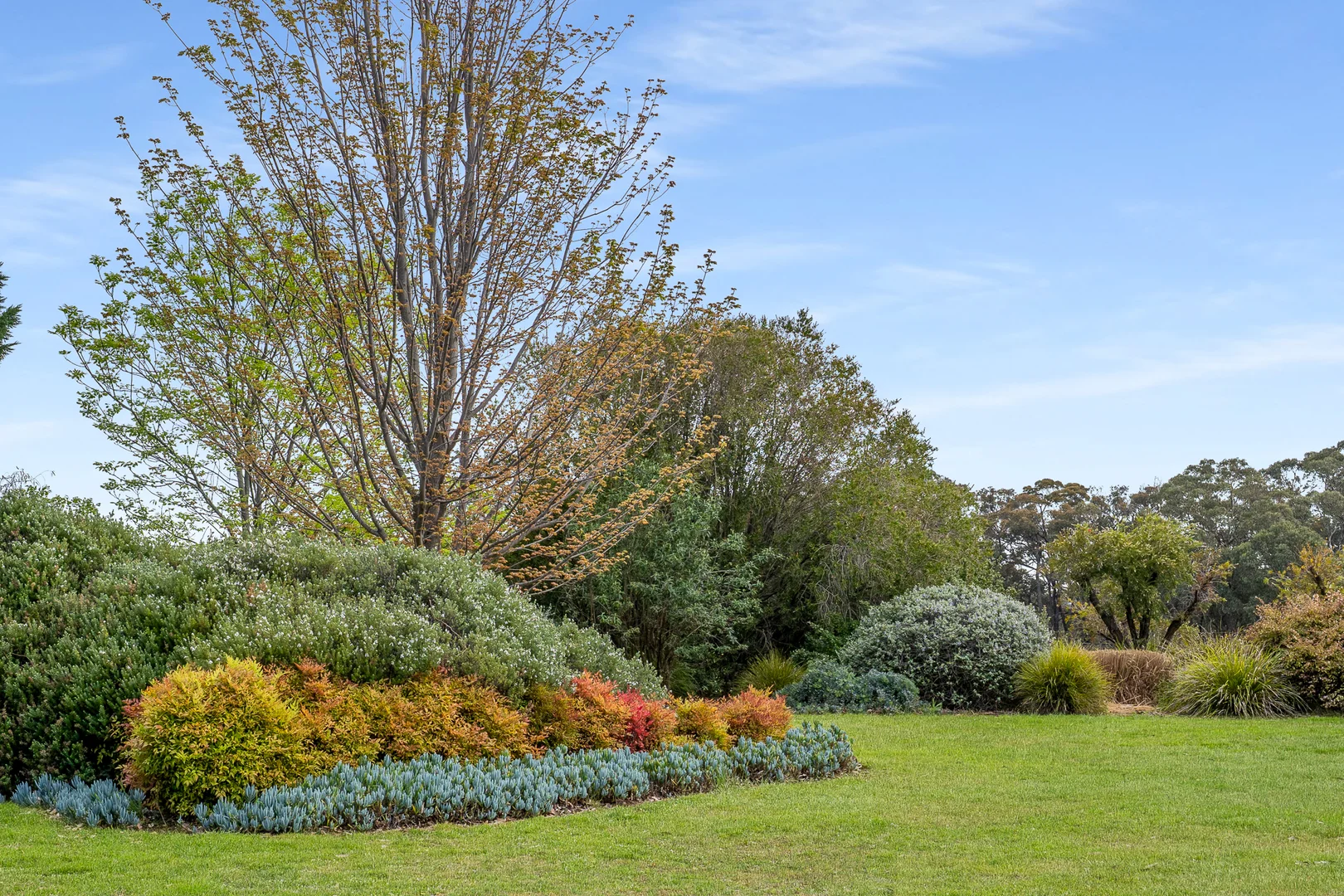 Additional image 15 of 38 Greening Lane, Orange NSW 2800