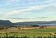 Additional image 3 of 73 Whitecraigs, Kinnesswood, KY13 9JN