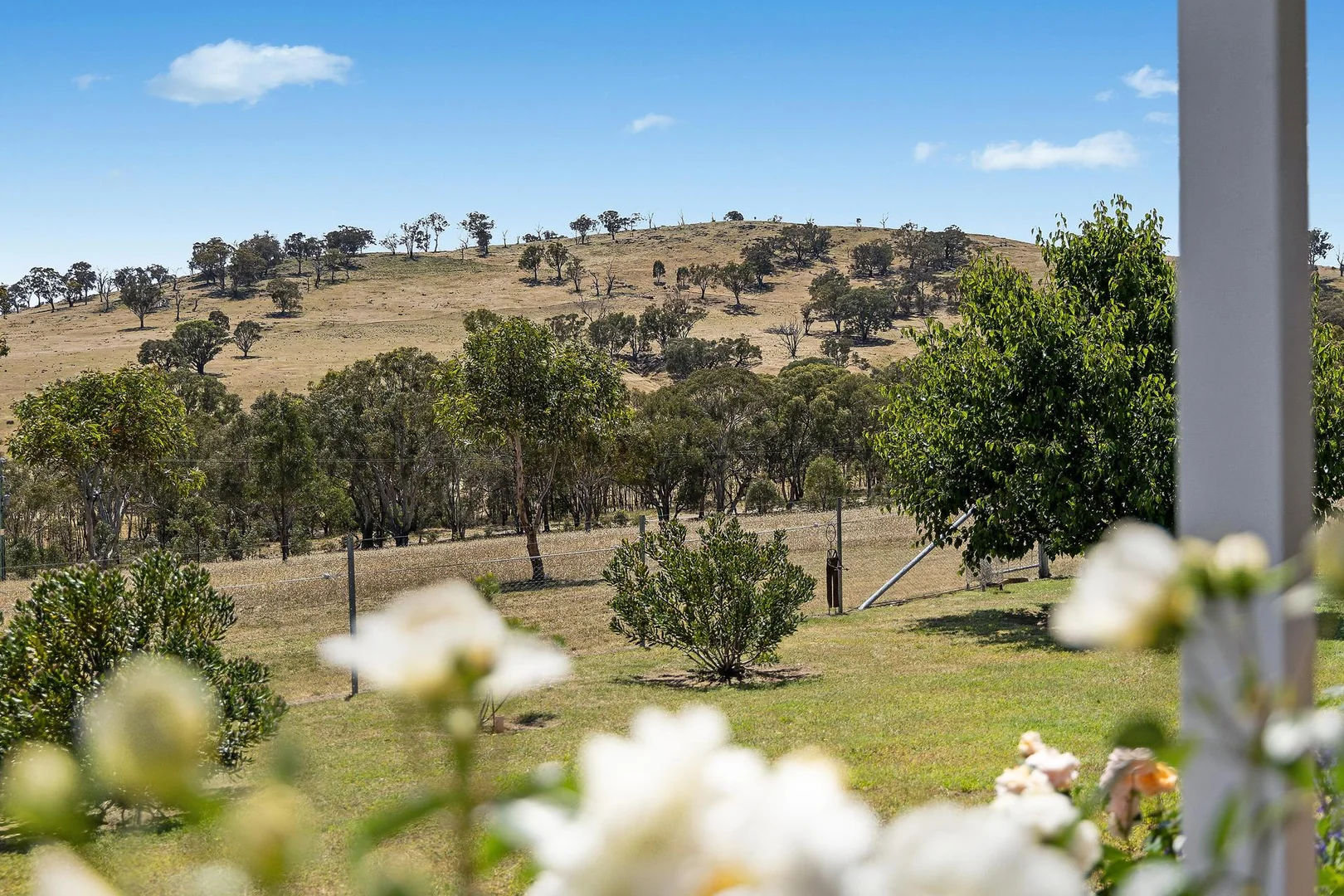 Additional image 18 of 124 Bendenine Road, Binalong NSW 2584