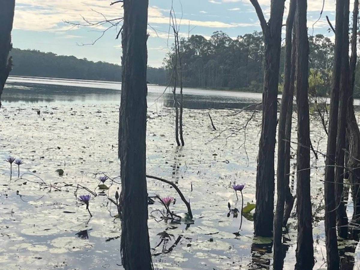 Additional image 14 of Kurwongbah QLD 4503