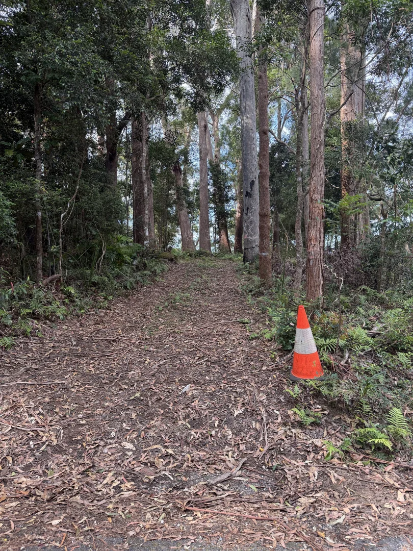 Springbrook QLD 4213 photo 4